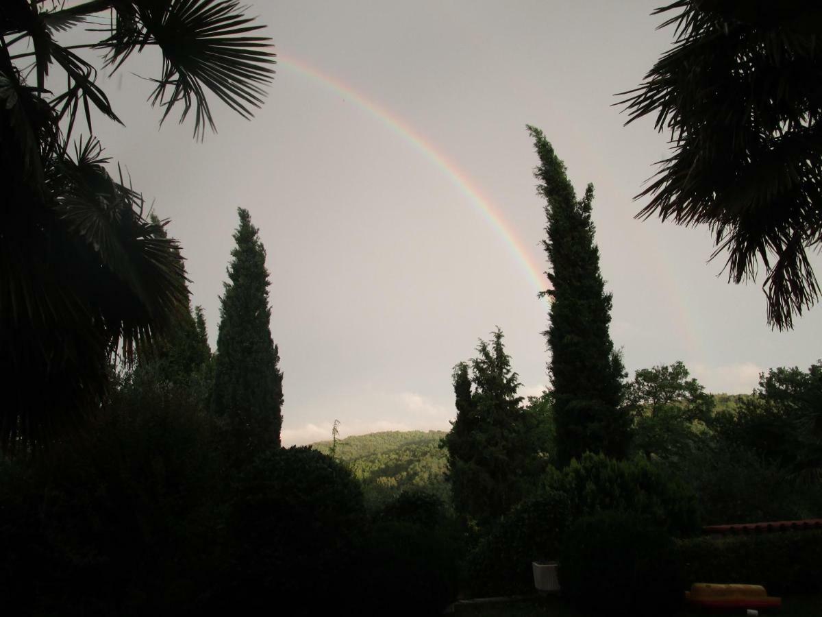 Holiday Home Vizinada ภายนอก รูปภาพ